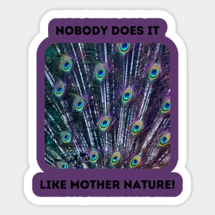 Peacock Feathers: Mother Nature Rules! Sticker